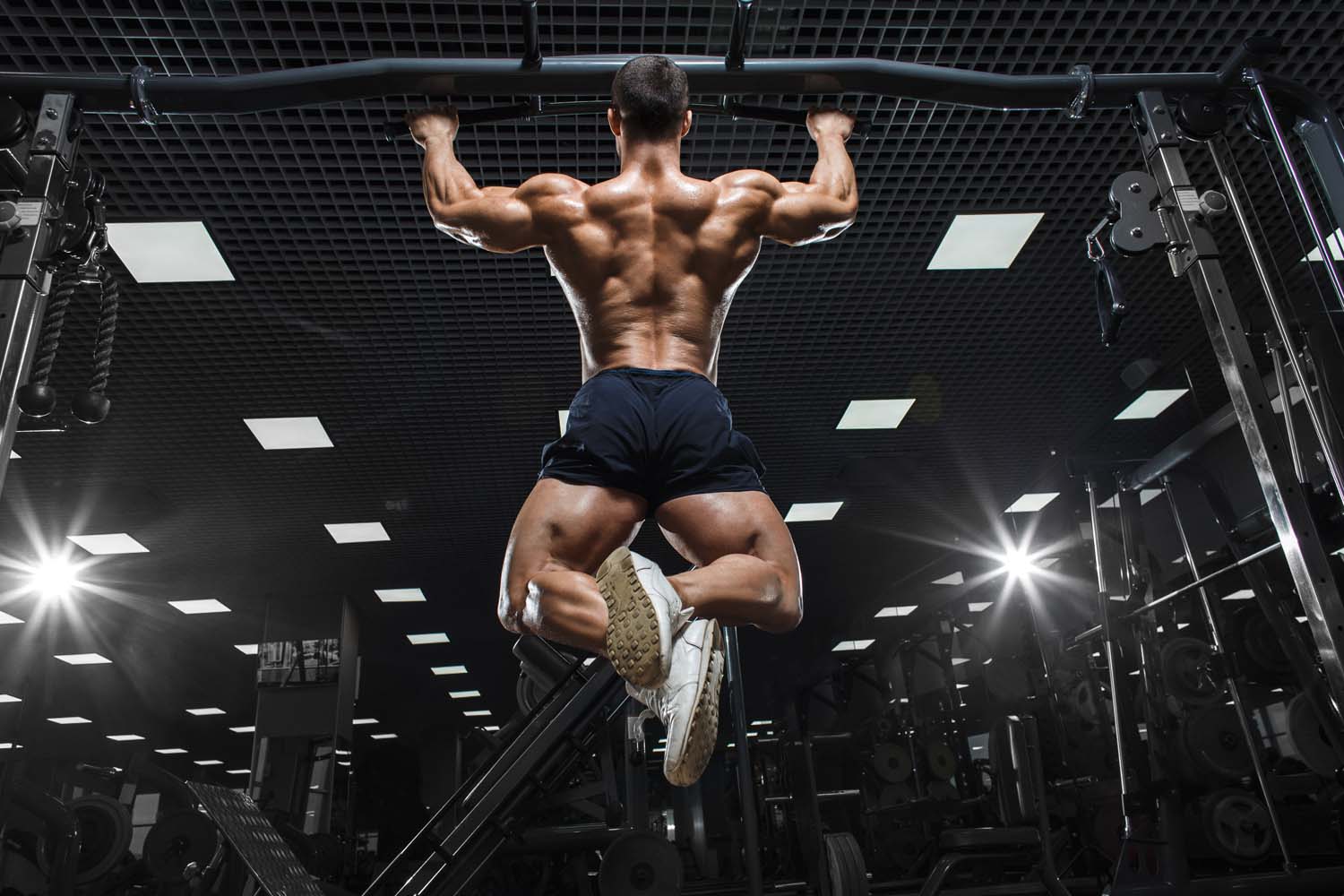back_workouts_for_men.jpg