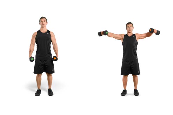 dumbbell_lateral_raise.jpg