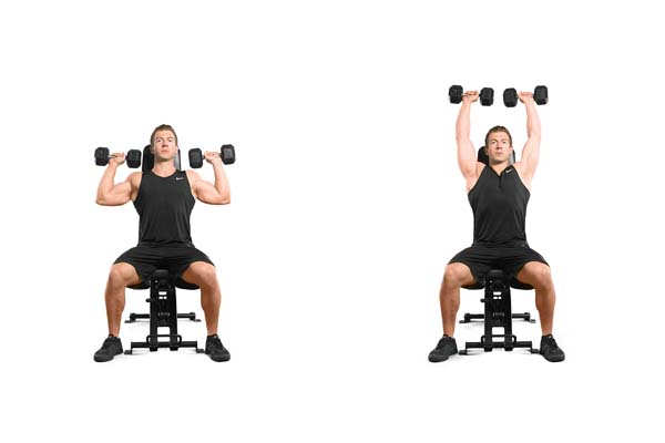 dumbbell_shoulder_press.jpg