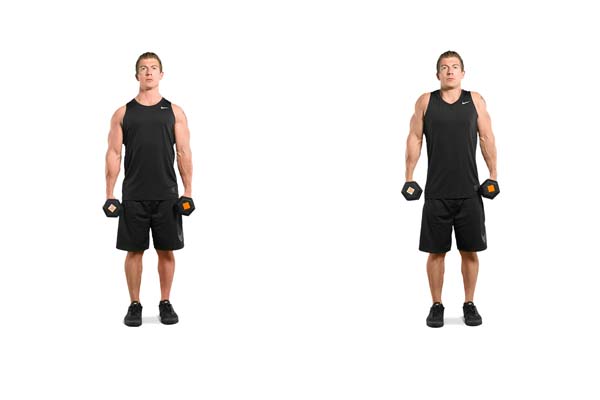 dumbbell_shrug.jpg
