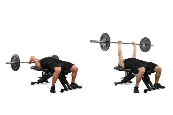 lying_barbell_tricep_extension.jpg