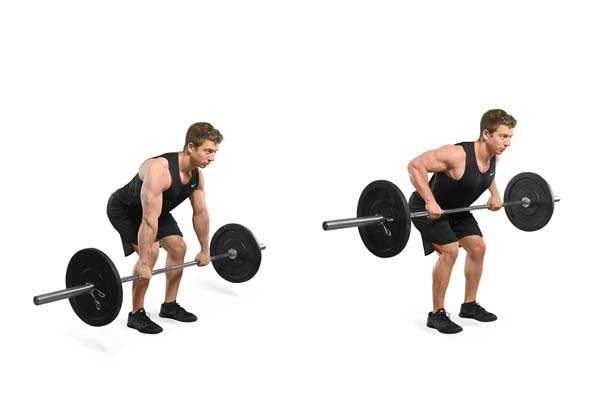 bent-over_barbell_overhand_row.jpg
