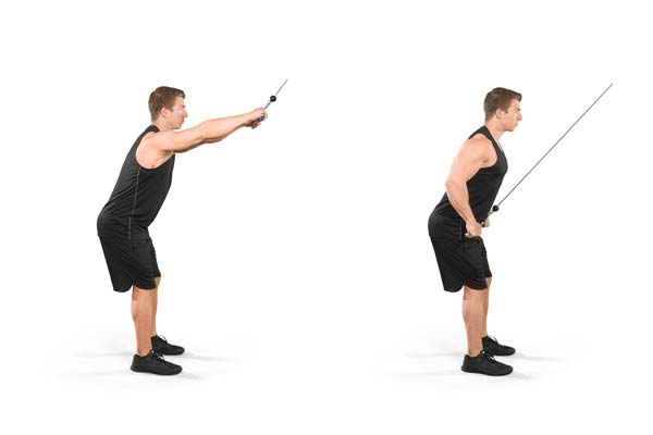 standing_straight-arm_pulldown.jpg