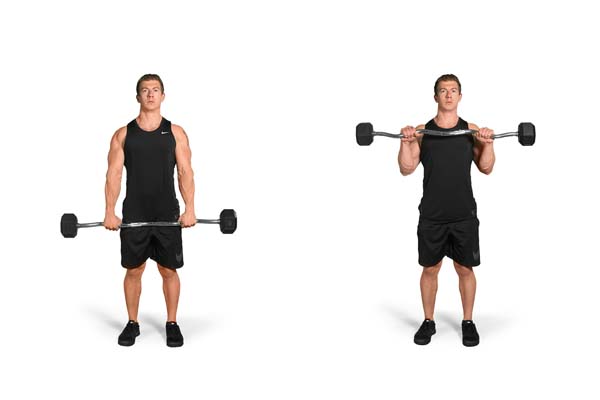 standing_ez-bar_reverse_curl.jpg