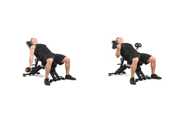 incline_dumbbell_curl.jpg