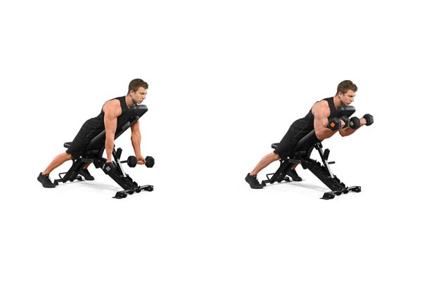 reverse_incline_dumbbell_curl.jpg