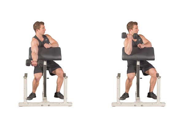 single-arm_dumbbell_preacher_curl.jpg