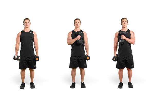 standing_cross-body_dumbbell_hammer_curl.jpg