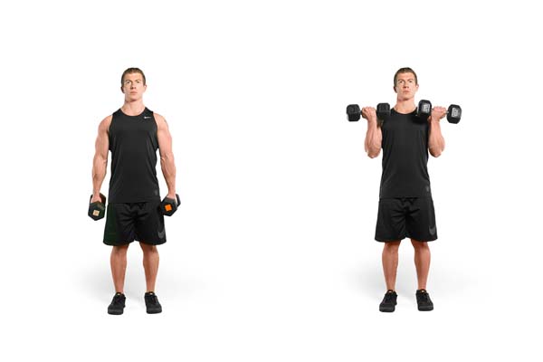 standing_dumbbell_curl.jpg