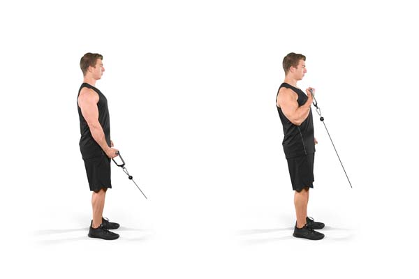 standing_single-arm_cable_curl.jpg
