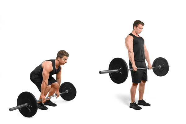 barbell_deadlift.jpg
