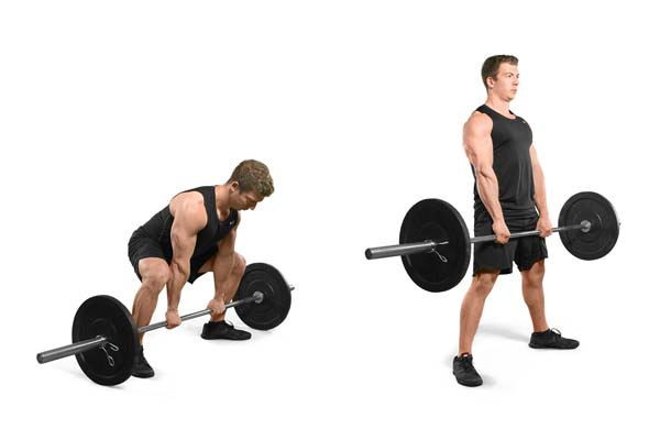 barbell_sumo_deadlift.jpg