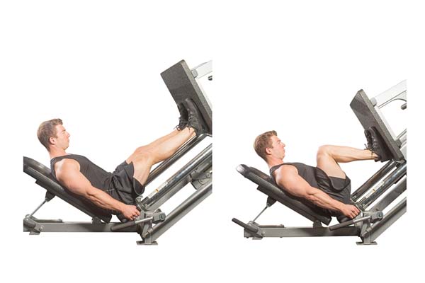 seated_machine_leg_press.jpg