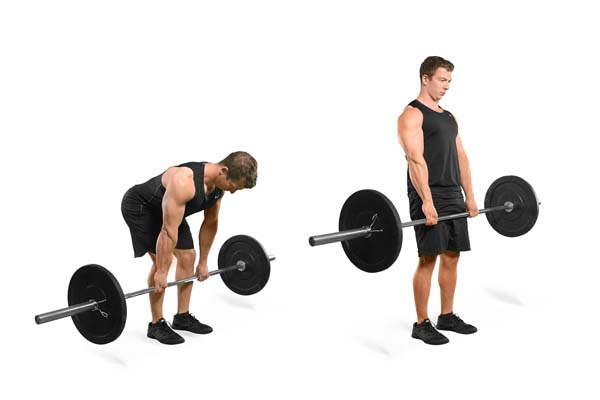 straight-leg_barbell_deadlift.jpg