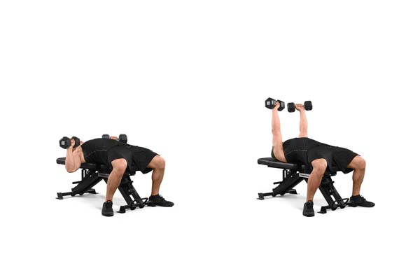 dumbbell_bench_press.jpg