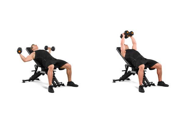 incline_dumbbell_fly.jpg