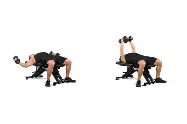 lying_dumbbell_fly.jpg