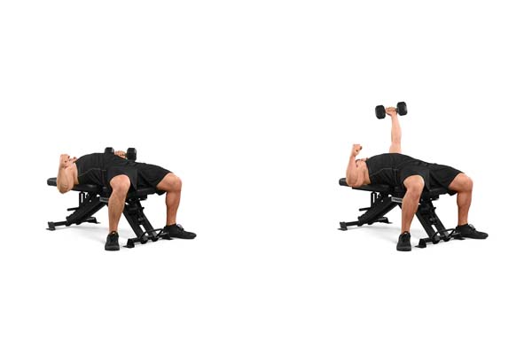 single-arm_dumbbell_bench_press.jpg